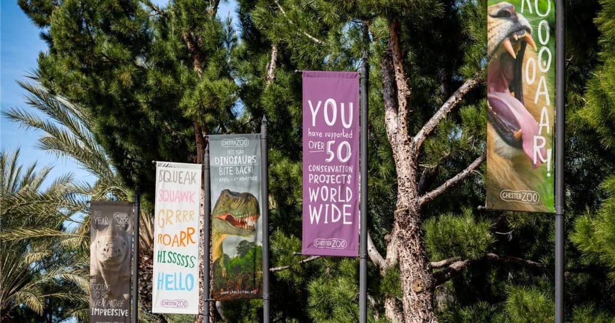 Notorious Communications Launches Easter Campaign for Chester Zoo — 3