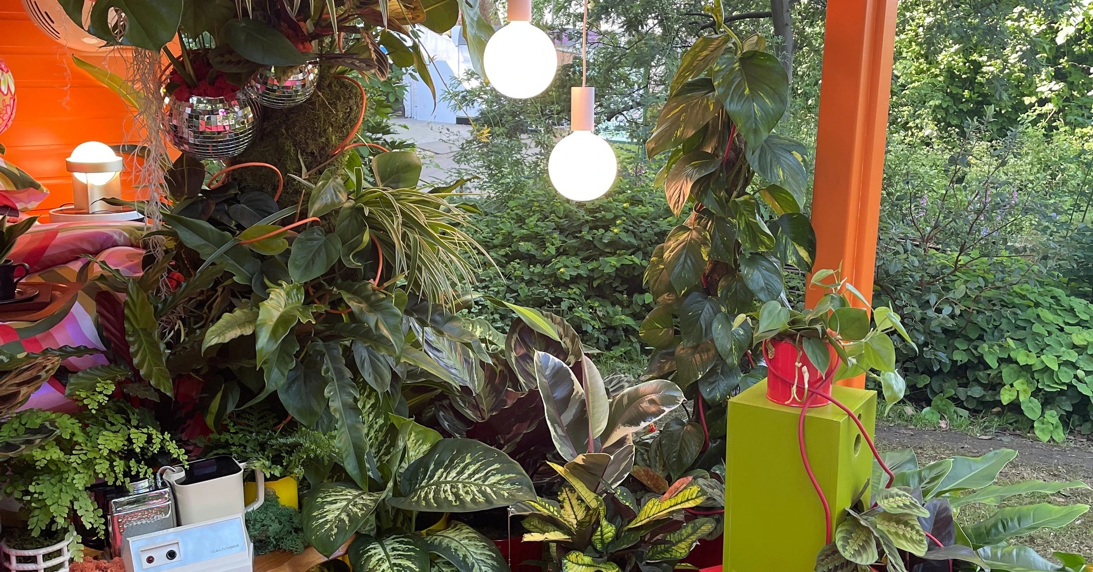 ellodave creative agency Secures Lovehoney Group Sponsorship for RHS Chelsea Flower Show Installation — 3