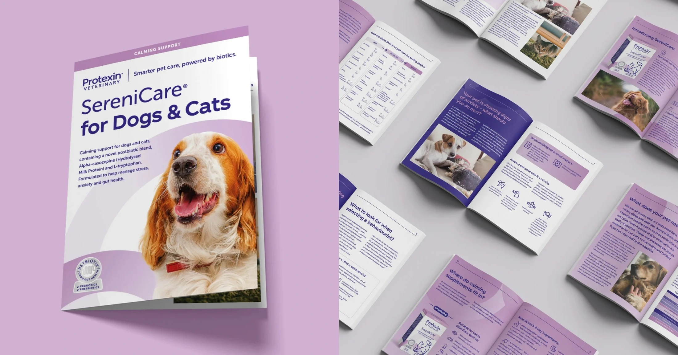 MBC Group Launches Gut Microbiome Campaign for Protexin — 4