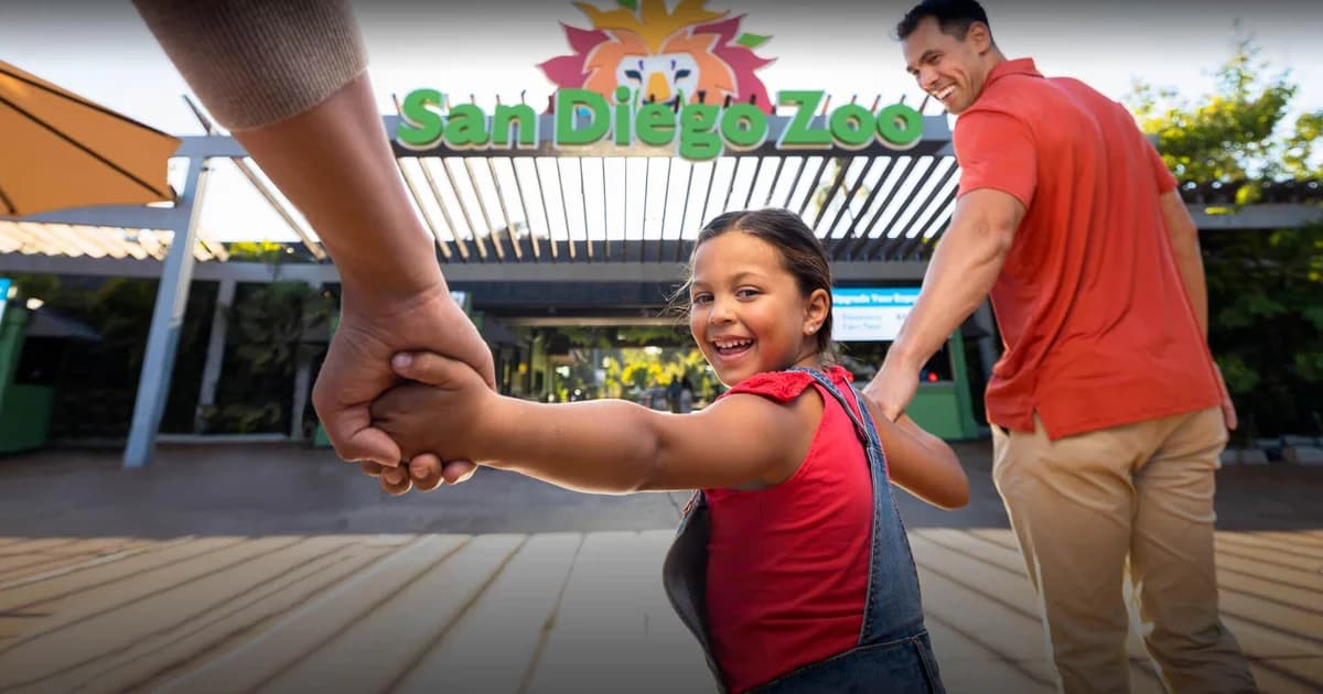 Downtown San Diego Partnership Brokers Drone Show Campaign for Safari Park