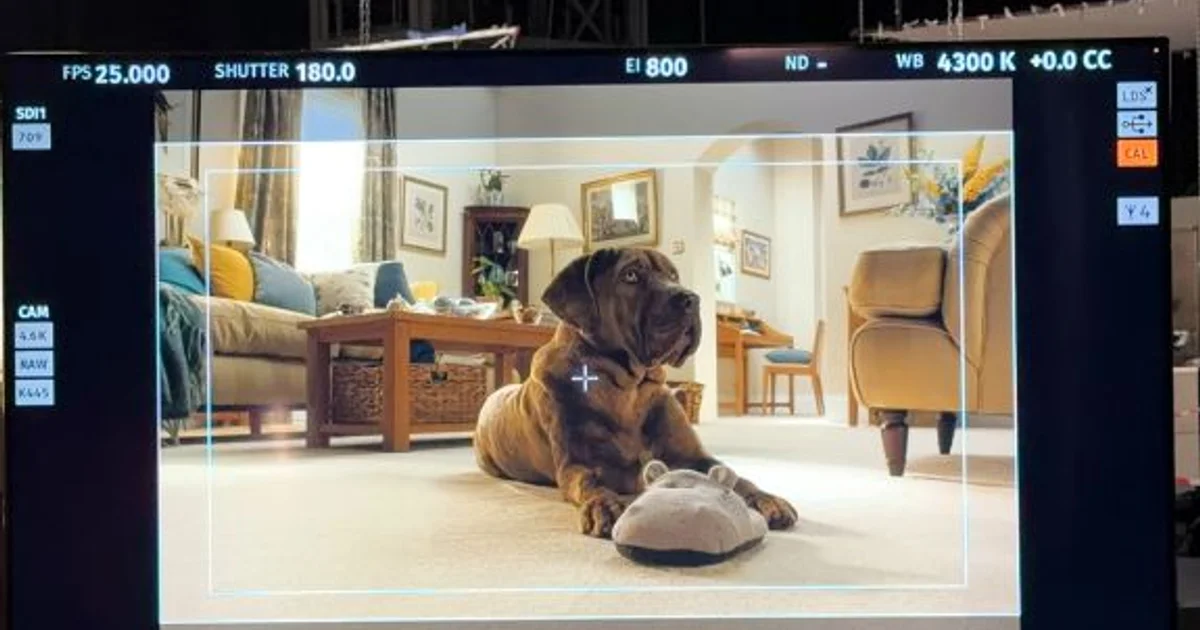 YOU Agency Creates Tapi Carpets & Floors Campaign Built from Customer Reviews